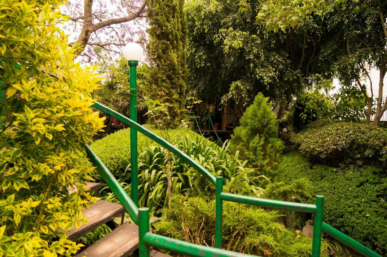 3c, Jacaranda, Garden House, Wewlcome To San Angel Cidade do México