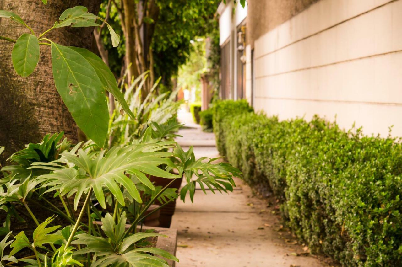 3c, Jacaranda, Garden House, Wewlcome To San Angel Cidade do México